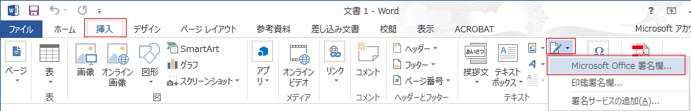 Document Signing MS Office 2013